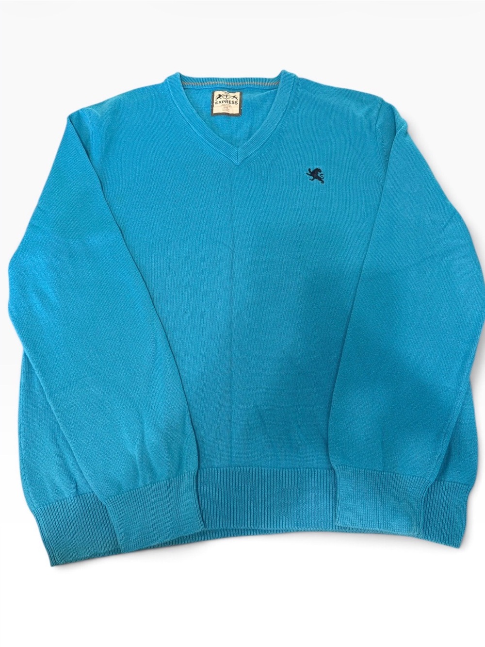 Express Menโs 100% Cotton V-Neck Sweater Turquoise Blue Size L